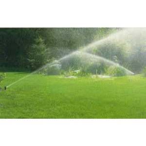 Vòi tưới cỏ Hunter