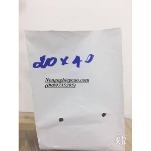 Túi bầu trồng cây