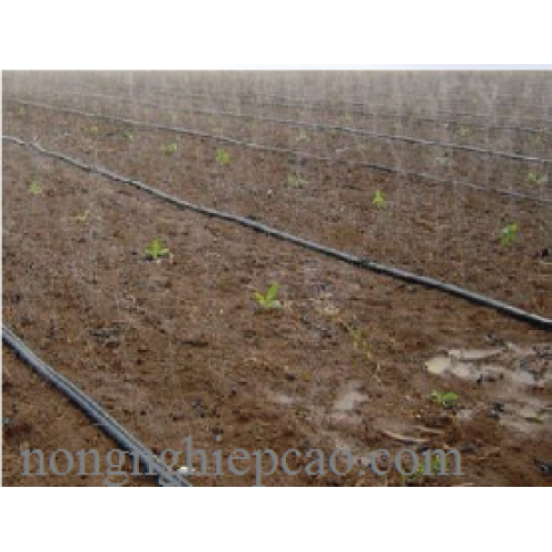 Ống phun mưa phi 27